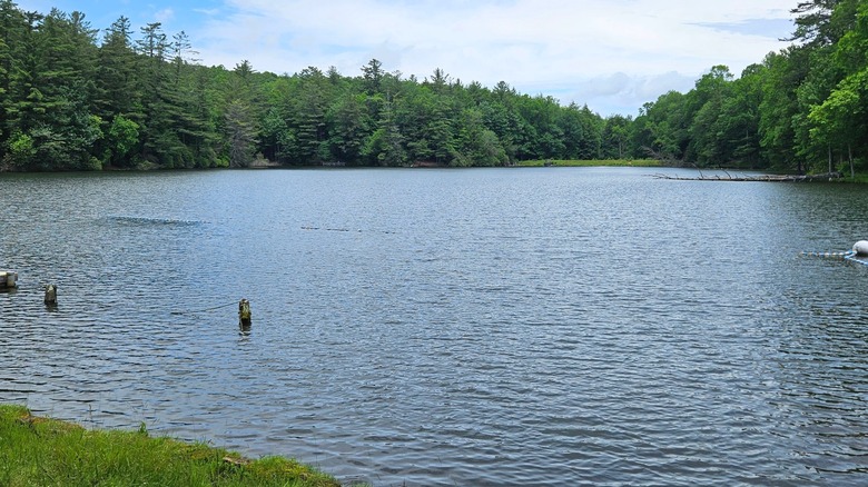 A roped off swimming area in Lake Conasauga with a dock and surrounding green trees.