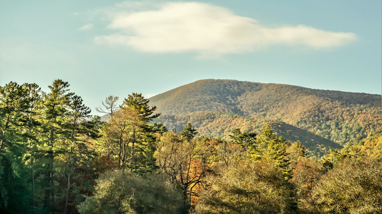 View of blood mountain looking from Vogel State park with blue sky white clouds on the background, Georgia
