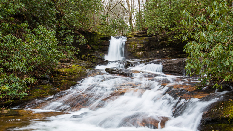 Raven Cliffs Falls in the Raven Cliff Wilderness, in North Georgia's Blue Ridge Mountains