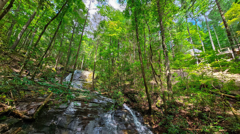 Looking up at Fall Branch Falls in Cherry Log, Georgia