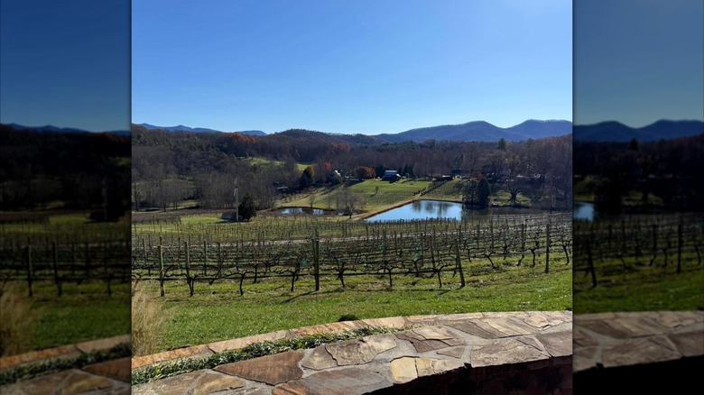 View from Crane Creek Vineyards in Young Harris, Georgia