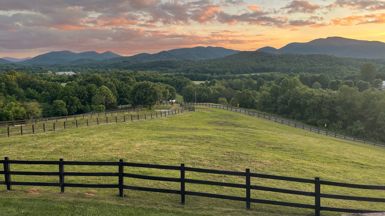 View from the stables at Brasstown Valley Resort & Spa