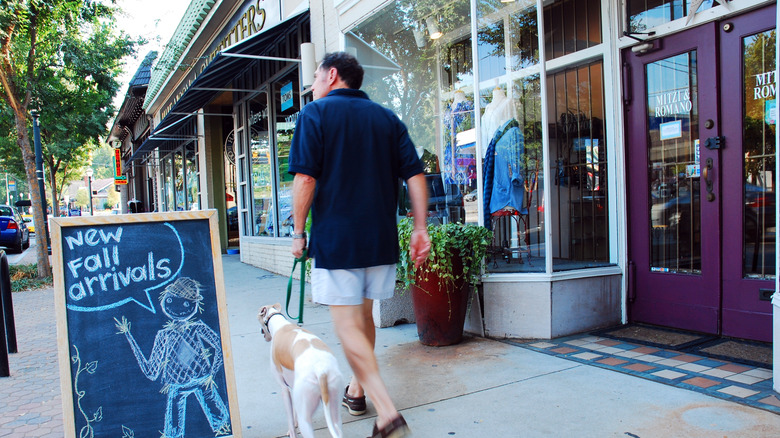 A man and his dog walking in Virginia-Highland