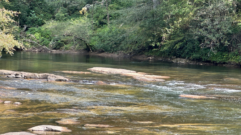 view of Toccoa River with rocks and trees