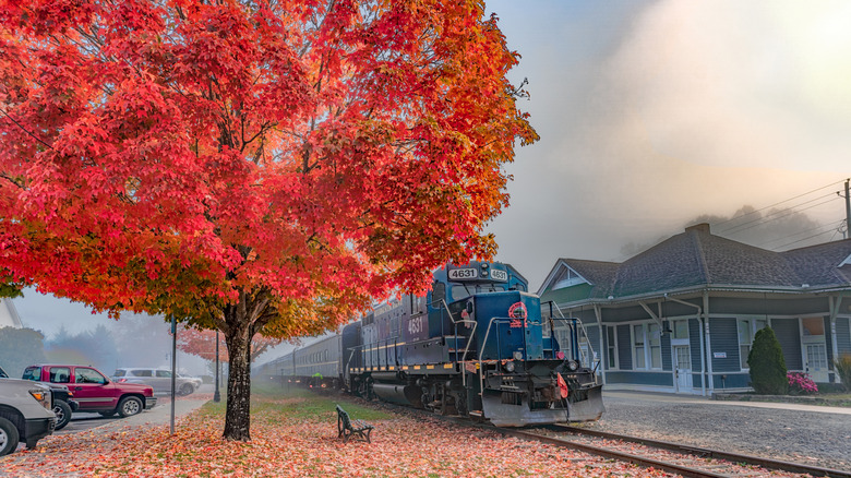 train running through town with tree covered in red foliage