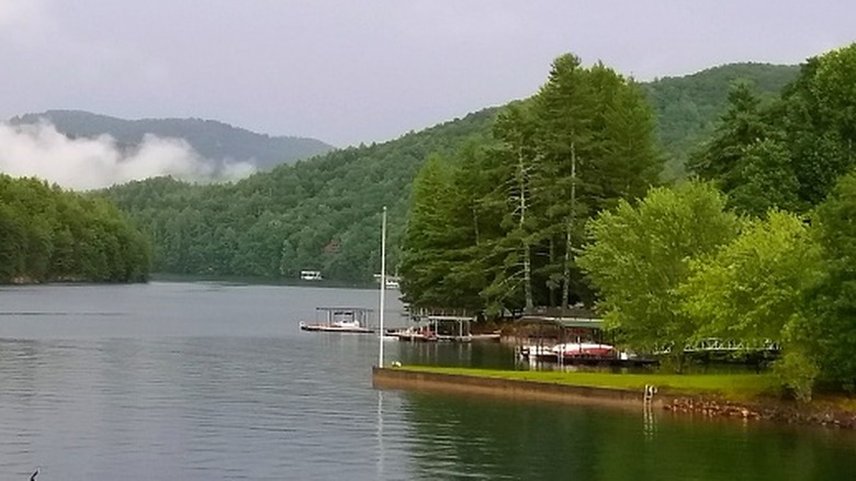 boats and piers on Lake Blue Ridge in Georgia with mountain background