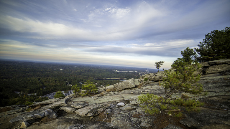 Top of Arabia mountain in Georgia