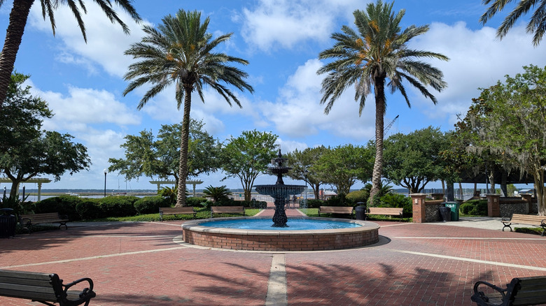 Fountain and palm trees in St. Marys park