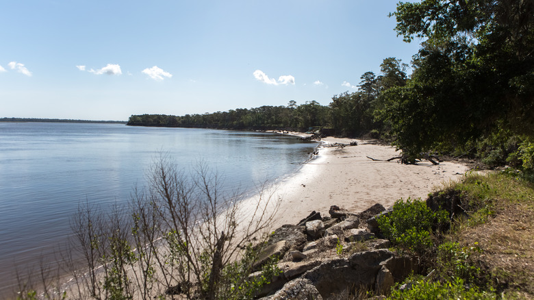 Coastline in Crooked River State Park