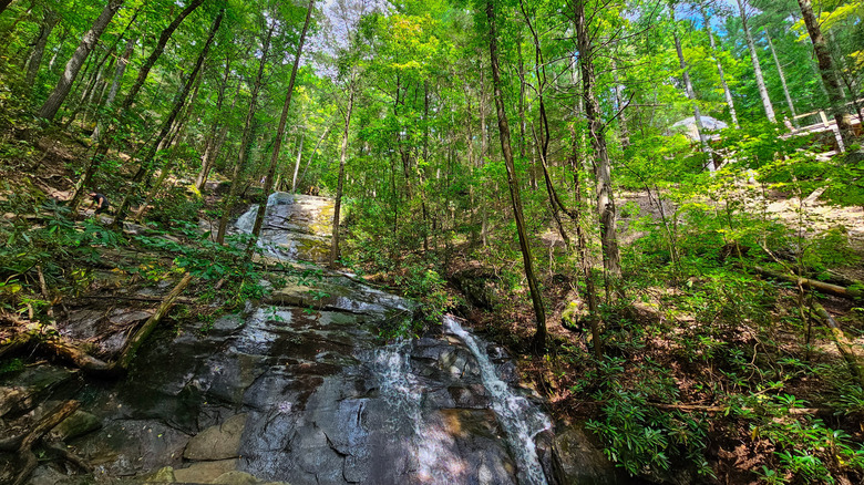 Fall Branch Falls in Cherry Log, Georgia