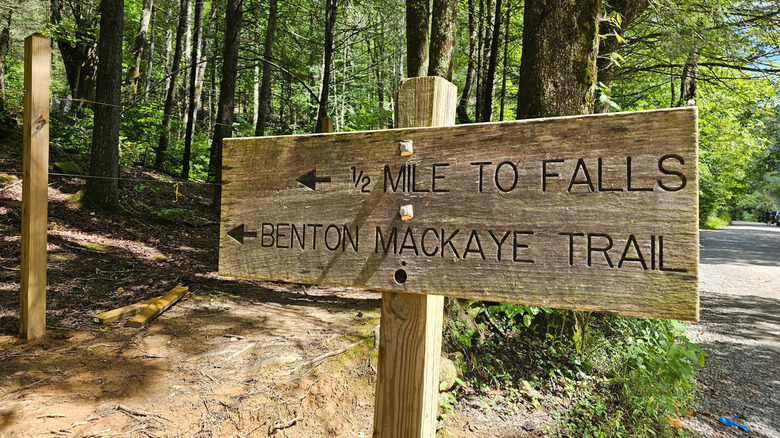 Hiking trails in Cherry Log, Georgia