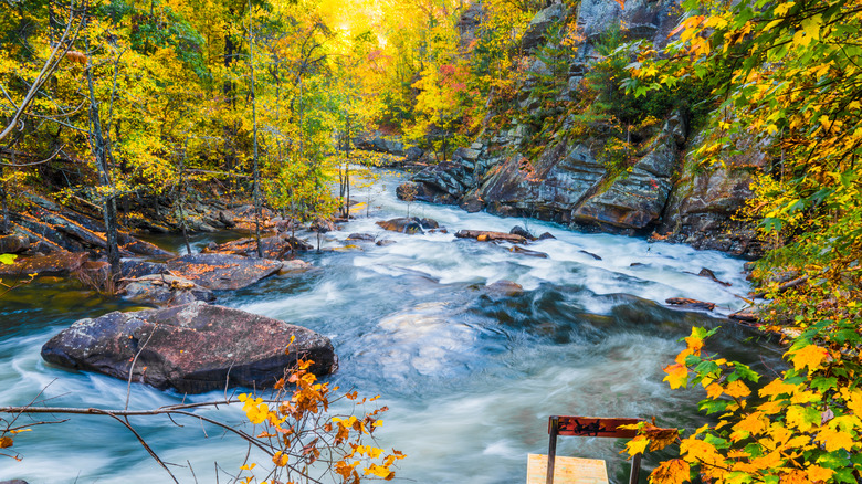 A peaceful river with fall colors