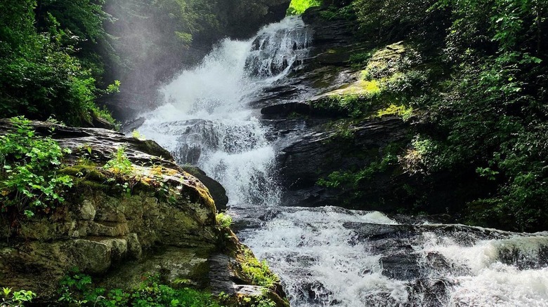 A waterfall with green foliage