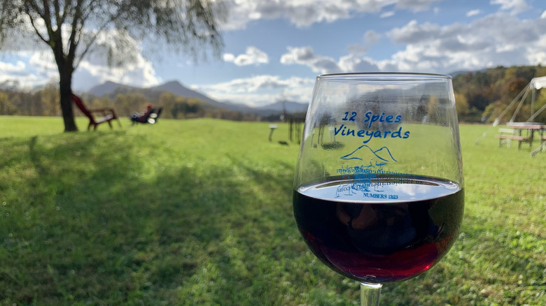 The 12 Spies Vineyard in Rabun Gap serves up wine tastings and incredible views.