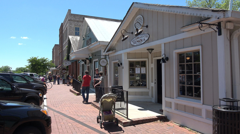 A row of shops in Senoia, Georgia