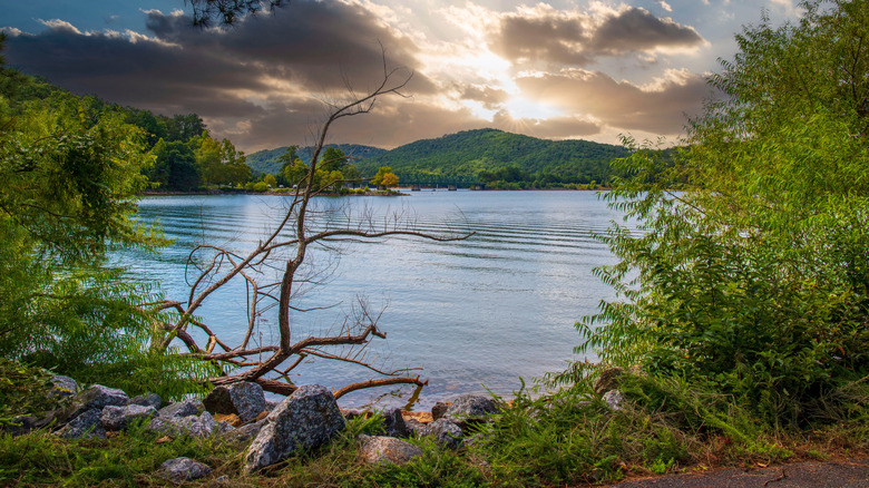 A shot of Lake Allatoona along a walking trail in Red Top Mountain State Park with the sun behind clouds and green foliage.