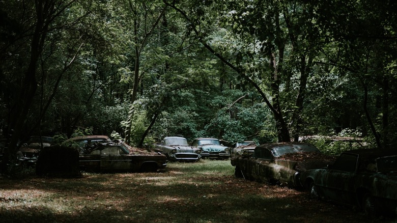 Old Car City vintage cars in nature