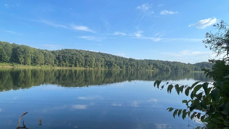 Lake Zwerner in Georgia
