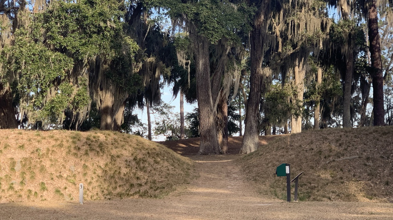 A nature trail going under a tree canopy at the Fort Morris State Historic Site in Sunbury, Georgia