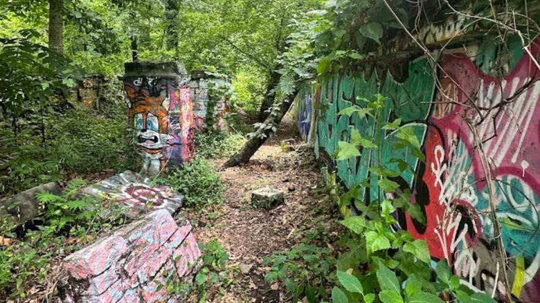 A pathway between graffiti walls
