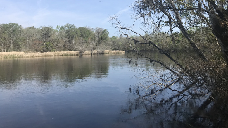 Ogeechee River in Richmond Hill, Georgia
