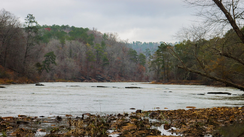 The Flint River flowing through Sprewell Bluff State Park in Thomaston, Georgia