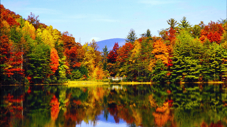 Chattahoochee National Forest in North Georgia in full autumn foliage