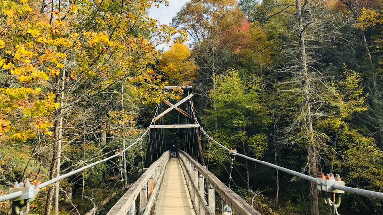 The bridge over Toccoa River
