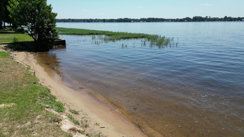 Sandy beach on Lake Blackshear in Cordele, Georgia