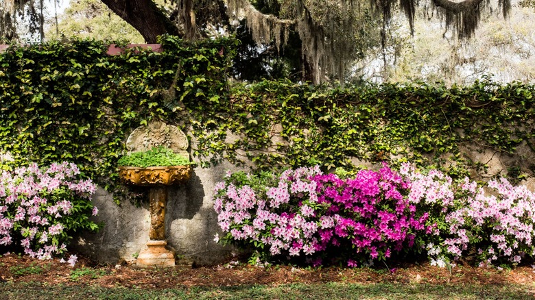 View of the garden at Greyfield Inn