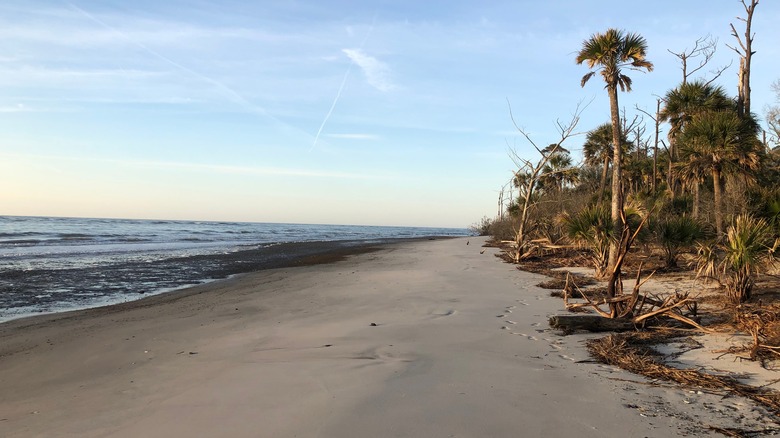 Desolate Beach on Little Tybee Island, Georgia