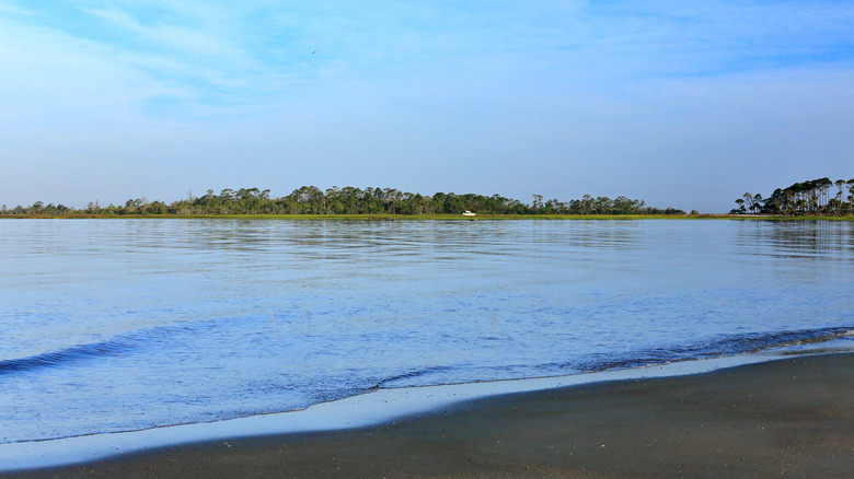 View of Little Tybee Island from Tybee Island Beach in Georgia