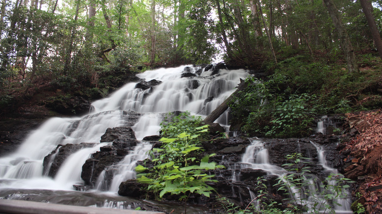 A waterfall in Helton Creek Falls