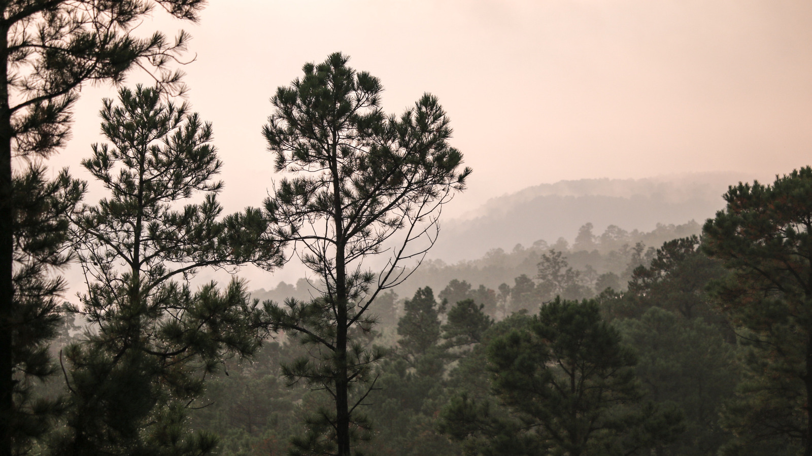 Georgia's State Park Just Half An Hour From Atlanta Is A Recreation Hub With Camping And Scenic Lakes