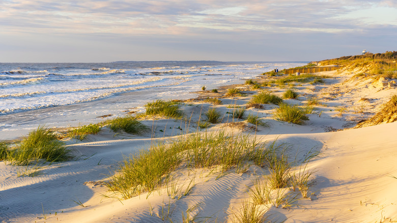 Sandy beach with grass in the Georgia barrier islands