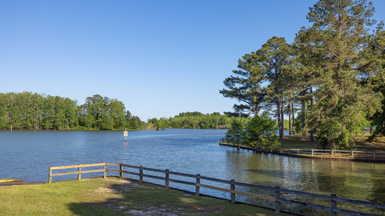 scenery at Walter F. George Lake in Fort Gaines, Georgia