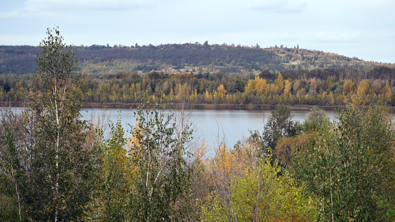 Lake Geiseltal stretches out between a forested hill with trees beginning to show fall colors