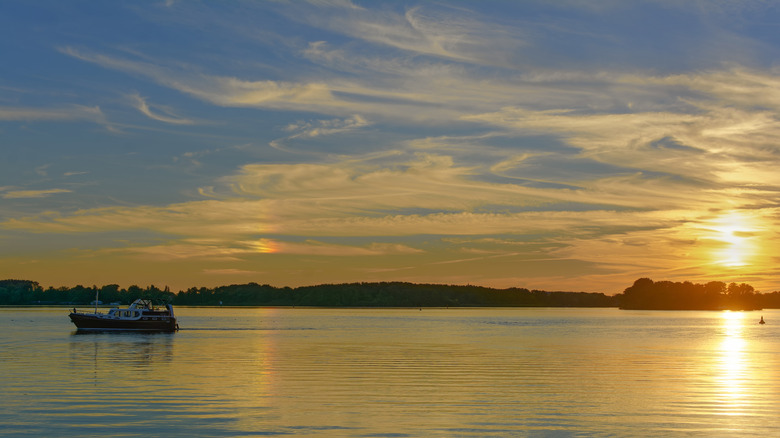 Early evening in Müritz National Park