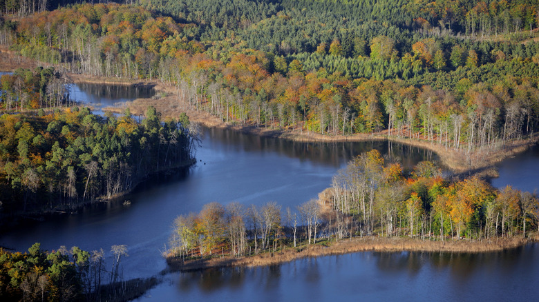 Müritz National Park, Schweingarten Lake