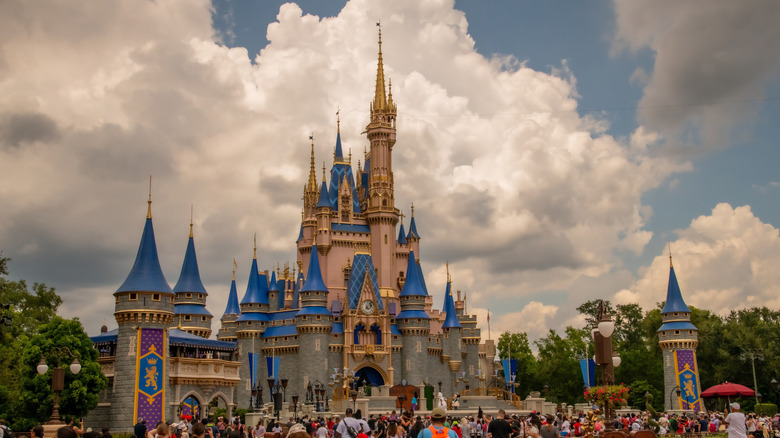 crowd disney castle