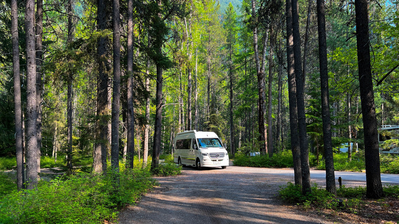 A compact, white camper van drives through the woods at Apgar Campground.