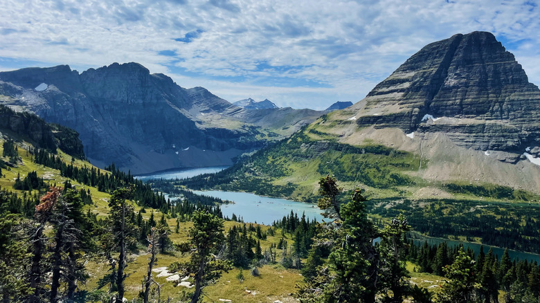 Lake McDonald, alpine valleys, and mountains as seen from the viewpoint on the Apgar Lookout Trail.