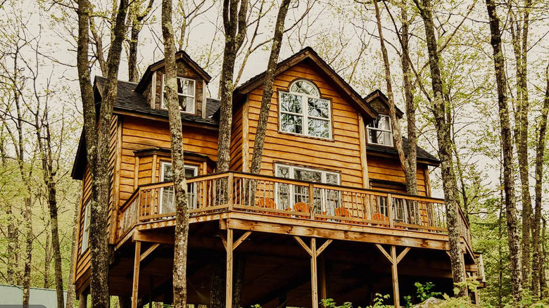 One of the mountain forest cabins at In The Trees