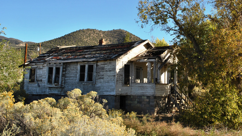 The ruins of an old white house with an overgrown tree and sagebrush around it and a hill in the background.