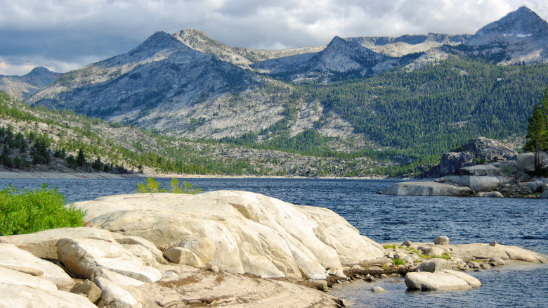 Florence Lake in California