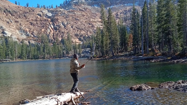 A man stands on a half submerged log in Iron Lakes with a fishing rod, about to cast his line into the emerald green and blue waters; on the opposite shore are tall spindly pine trees with a steep red and gray hill rising up behind them