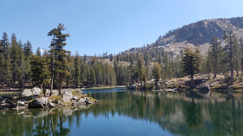 Iron Lakes on a clear summer day with a small island in the middle with a few scraggly trees; the lake is greenish blue and tall skinny pines line the distant shores to the left and right of the image