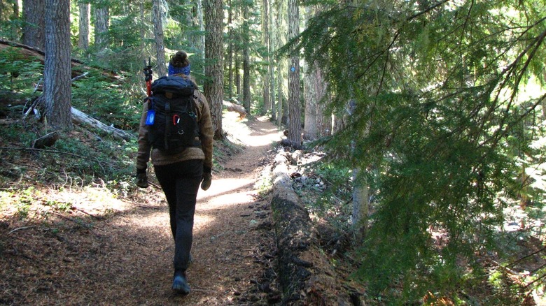 A woman hiking to the Rosary Lakes in Central Oregon