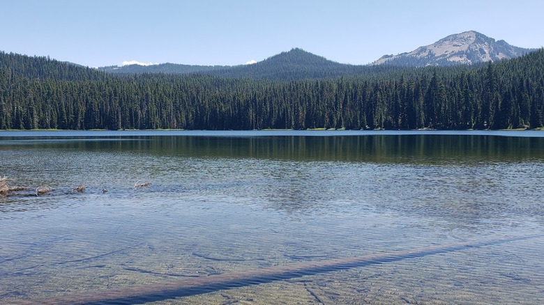 Timpanogas Lake, with clear blue water in the foreground and pine trees along the far shore