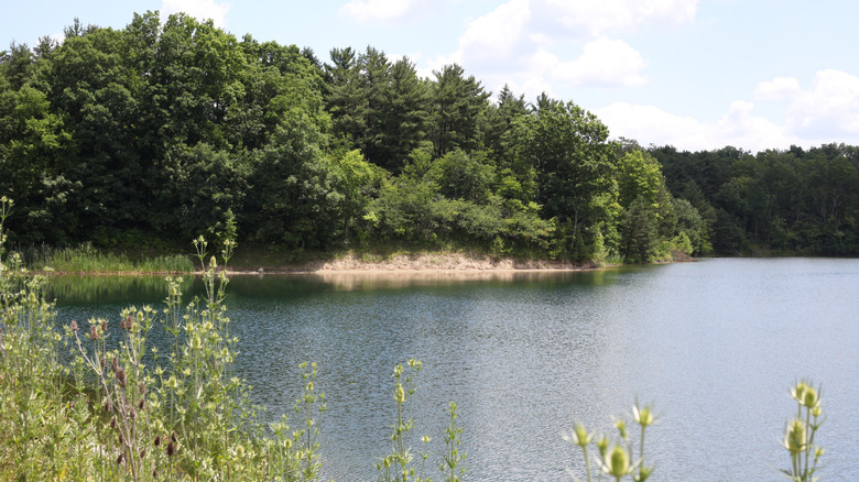 Lake Medina in Ohio